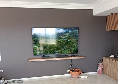 TV 65